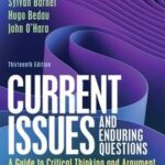 Current Issues and Enduring Questions