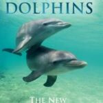 In Defense of Dolphins