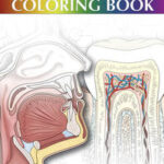 Dental Assisting Coloring Book