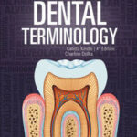 Dental Terminology