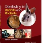 Dentistry in Rabbits and Rodents