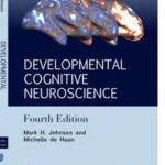 Developmental Cognitive Neuroscience