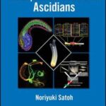 Developmental Genomics of Ascidians