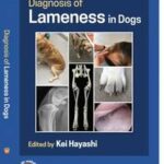 Diagnosis of Lameness in Dogs