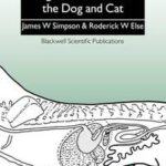 Digestive Disease in the Dog and Cat