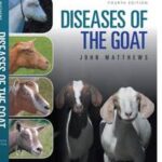 Diseases of The Goat
