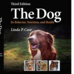 The Dog