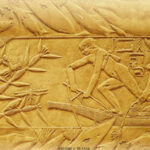 The Earth and Its Peoples, Brief Volume I: To 1550: A Global History