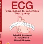 ECG from Basics to Essentials