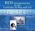ECG Interpretation in the Critically Ill Dog and Cat