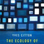 The Ecology of Attention