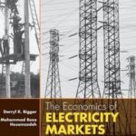 The Economics of Electricity Markets