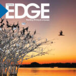 Edge 2014 B