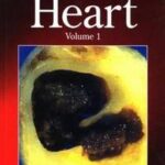 Education in Heart