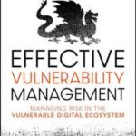 Effective Vulnerability Management