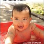 Effects of Persistent and Bioactive Organic Pollutants on Human Health