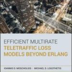 Efficient Multirate Teletraffic Loss Models Beyond Erlang