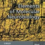 Elements of Molecular Neurobiology