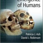 The Emergence of Humans