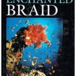 The Enchanted Braid