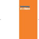 Endodontology at a Glance