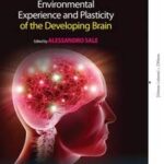 Environmental Experience and Plasticity of the Developing Brain