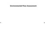 Environmental Flow Assessment