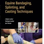 Equine Bandaging, Splinting, and Casting Techniques