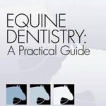 Equine Dentistry