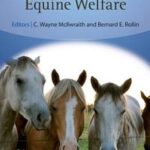 Equine Welfare