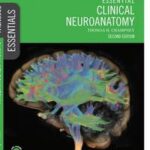 Essential Clinical Neuroanatomy