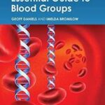 Essential Guide to Blood Groups