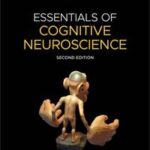 Essentials of Cognitive Neuroscience