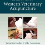 Essentials of Western Veterinary Acupuncture