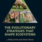 The Evolutionary Strategies that Shape Ecosystems