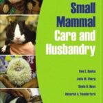 Exotic Small Mammal Care and Husbandry