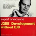 Expert One-on-One J2EE Development without EJB