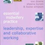 Expertise Leadership and Collaborative Working