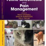 Feline Anesthesia and Pain Management