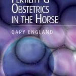 Fertility and Obstetrics in the Horse