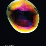 Are Filter Bubbles Real?