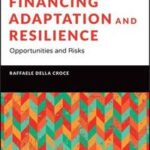 Financing Adaptation and Resilience: Opportunities and Risks