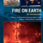 Fire on Earth