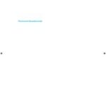 Fluorescent Nanodiamonds