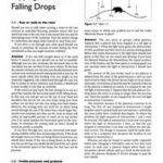 The Flying Circus of Physics
