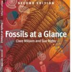 Fossils at a Glance