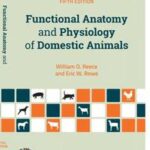 Functional Anatomy and Physiology of Domestic Animals
