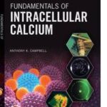 Fundamentals of Intracellular Calcium
