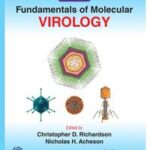 Fundamentals of Molecular Virology