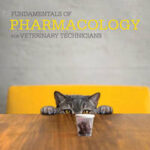 Fundamentals of Pharmacology for Veterinary Technicians